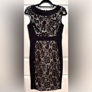 JAX Lace Overlay Sheath Knee Length Dress- Black/ Cream Size 4